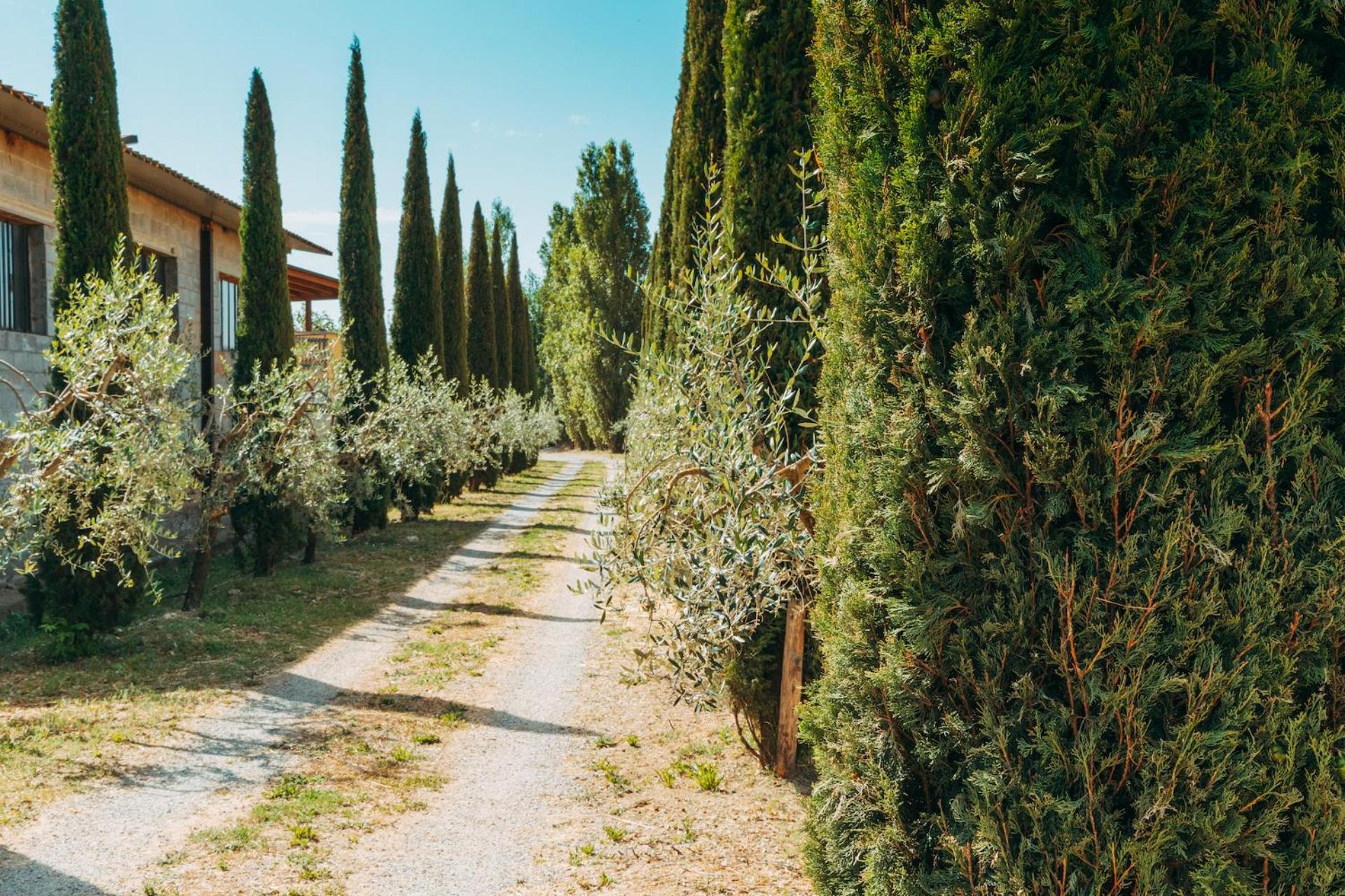 Agriturismo Il Borgo كورتونا المظهر الخارجي الصورة
