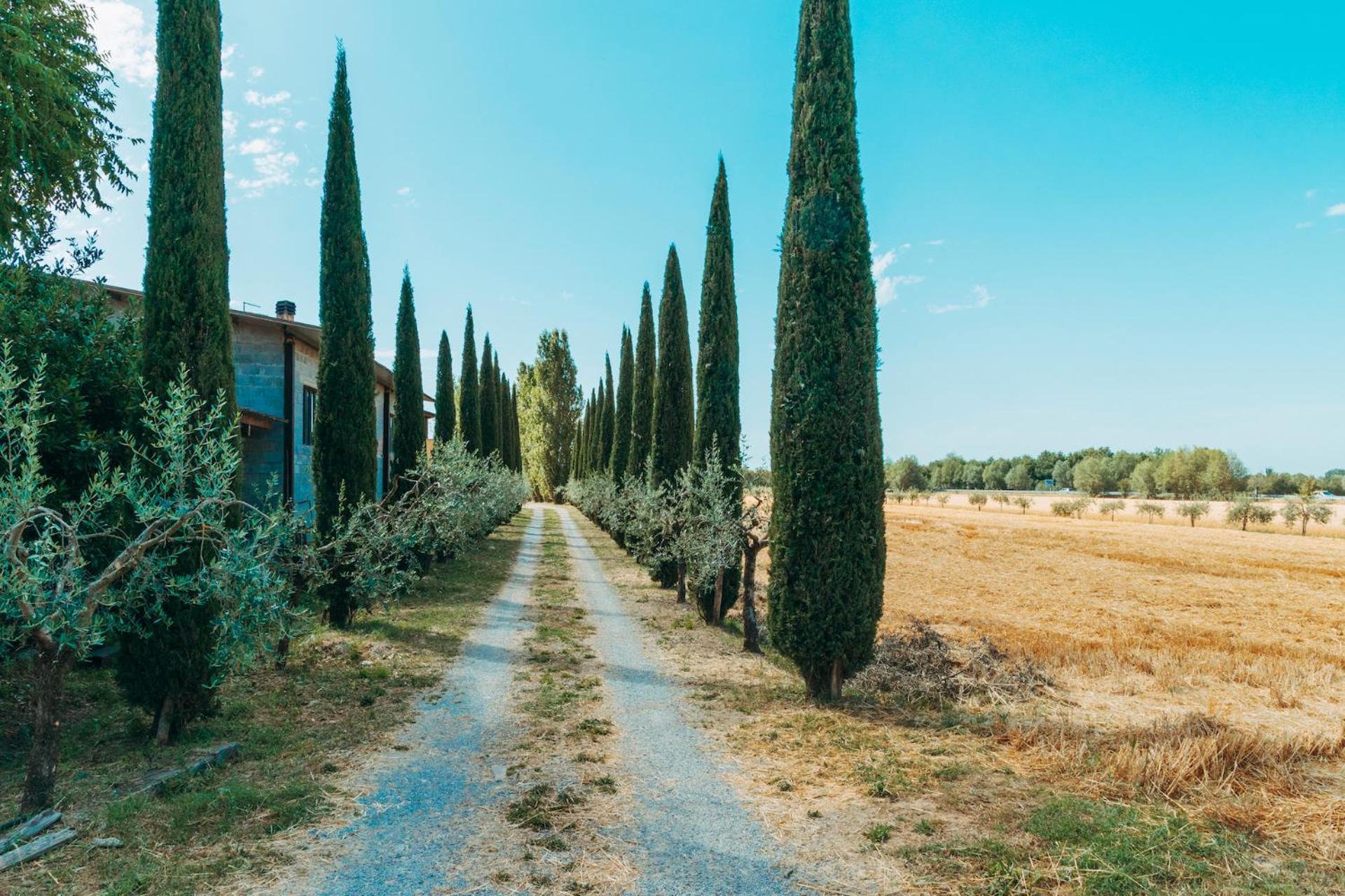 Agriturismo Il Borgo كورتونا المظهر الخارجي الصورة