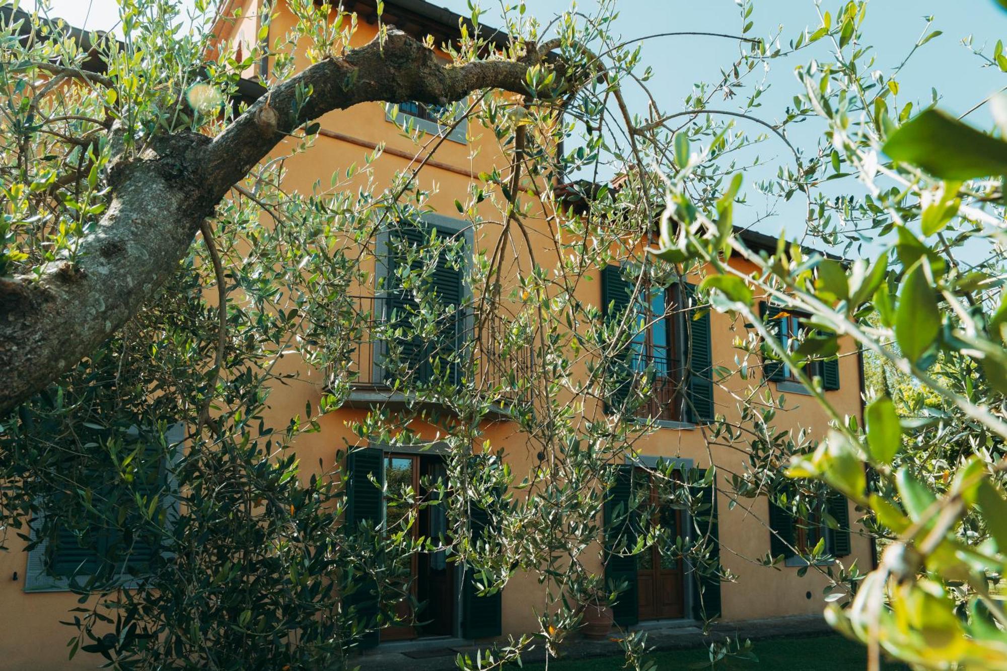 Agriturismo Il Borgo كورتونا المظهر الخارجي الصورة